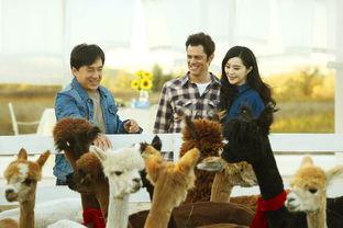 绝地逃亡,生死一线的极限挑战