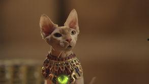 护宝巴迪,守护宝藏的英勇冒险之旅