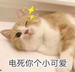 偷偷喜欢你-就是喜欢你,从“偷偷喜欢你”到“就是喜欢你”的心路历程