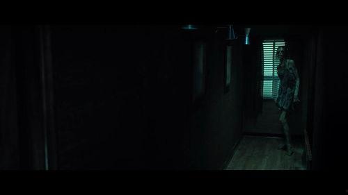 在黑暗中讲述的恐怖故事,黑暗中的恐怖传说揭秘