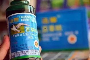 为了不浪费奶奶将泡了百草枯的大米端上桌,奶奶的节俭与意外